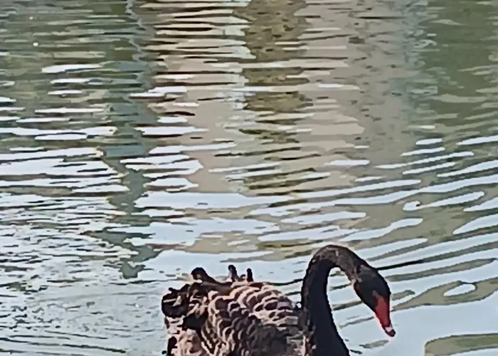 شقة Charment Studio