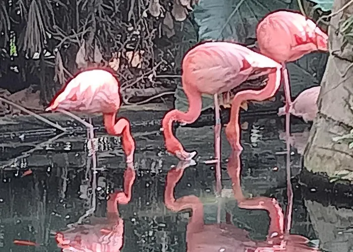 شقة Charment Studio *