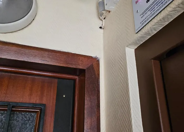 شقة Charment Studio *