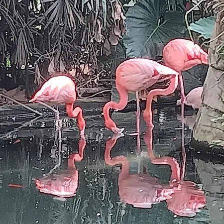 Appartement Charment Studio *